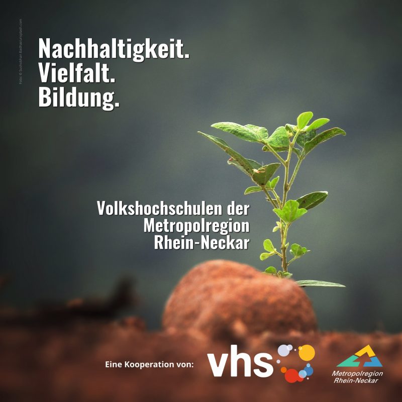 Digitale Broschüre: Volkshochschulen der Metropolregion Rhein-Neckar